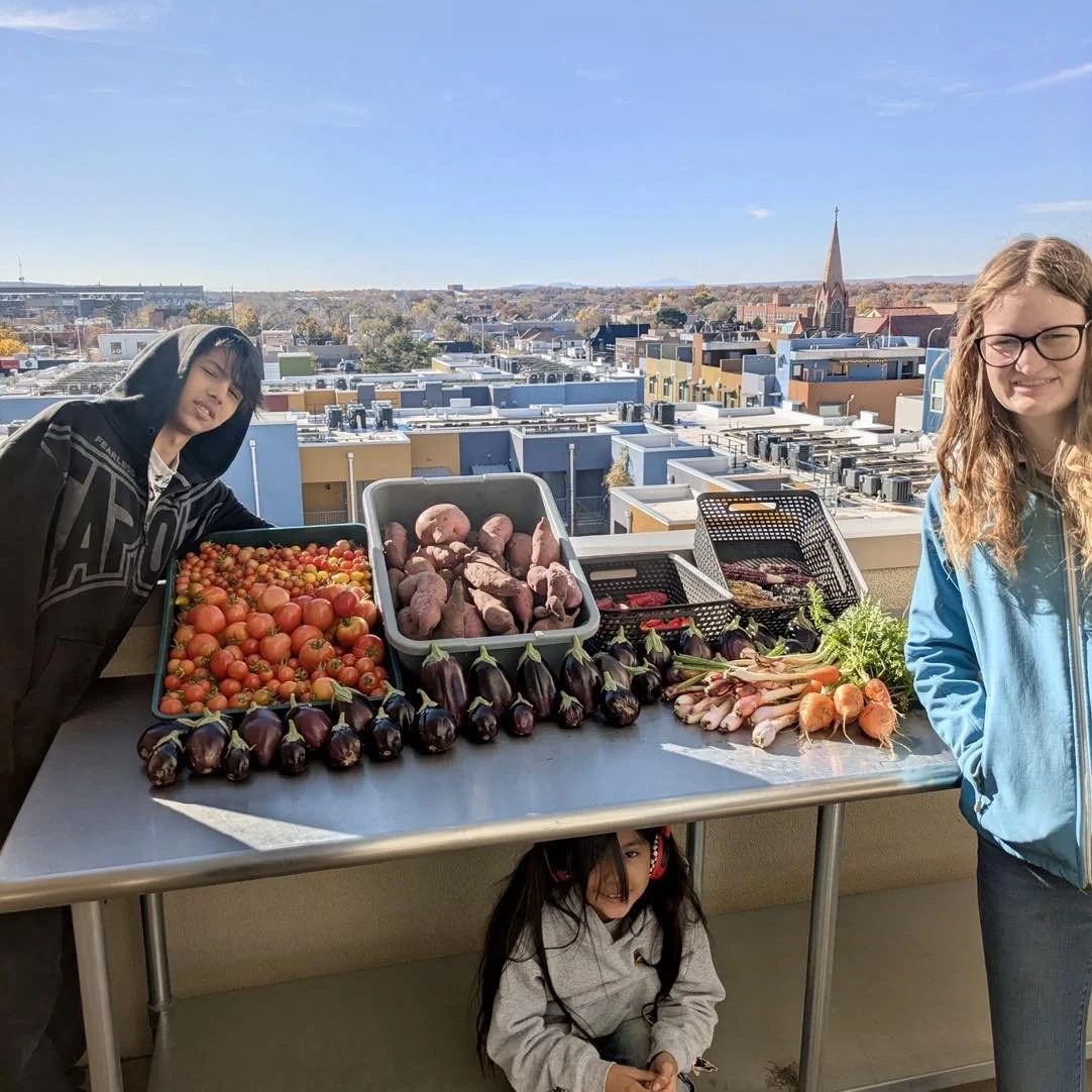 Residents with fresh tomatoes, eggplant and carrots from a community garden
